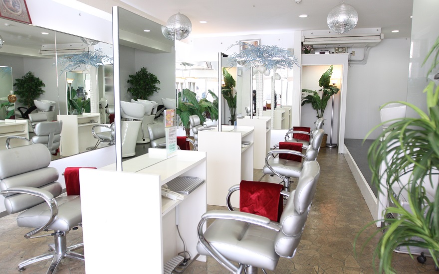 soware_salon1.jpg