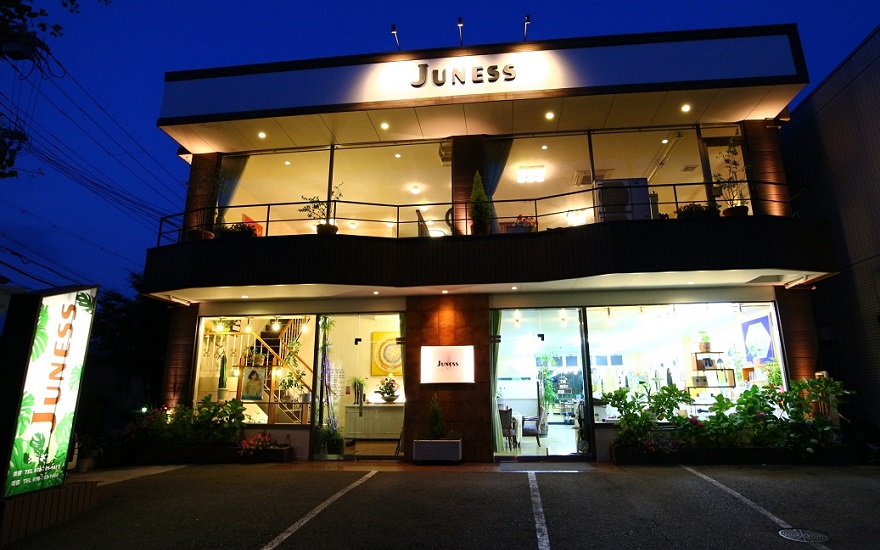 juness_salon1.jpg